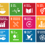 Enereum News Update: Emphasizing Our Commitment to the UN's Sustainable Development Goals