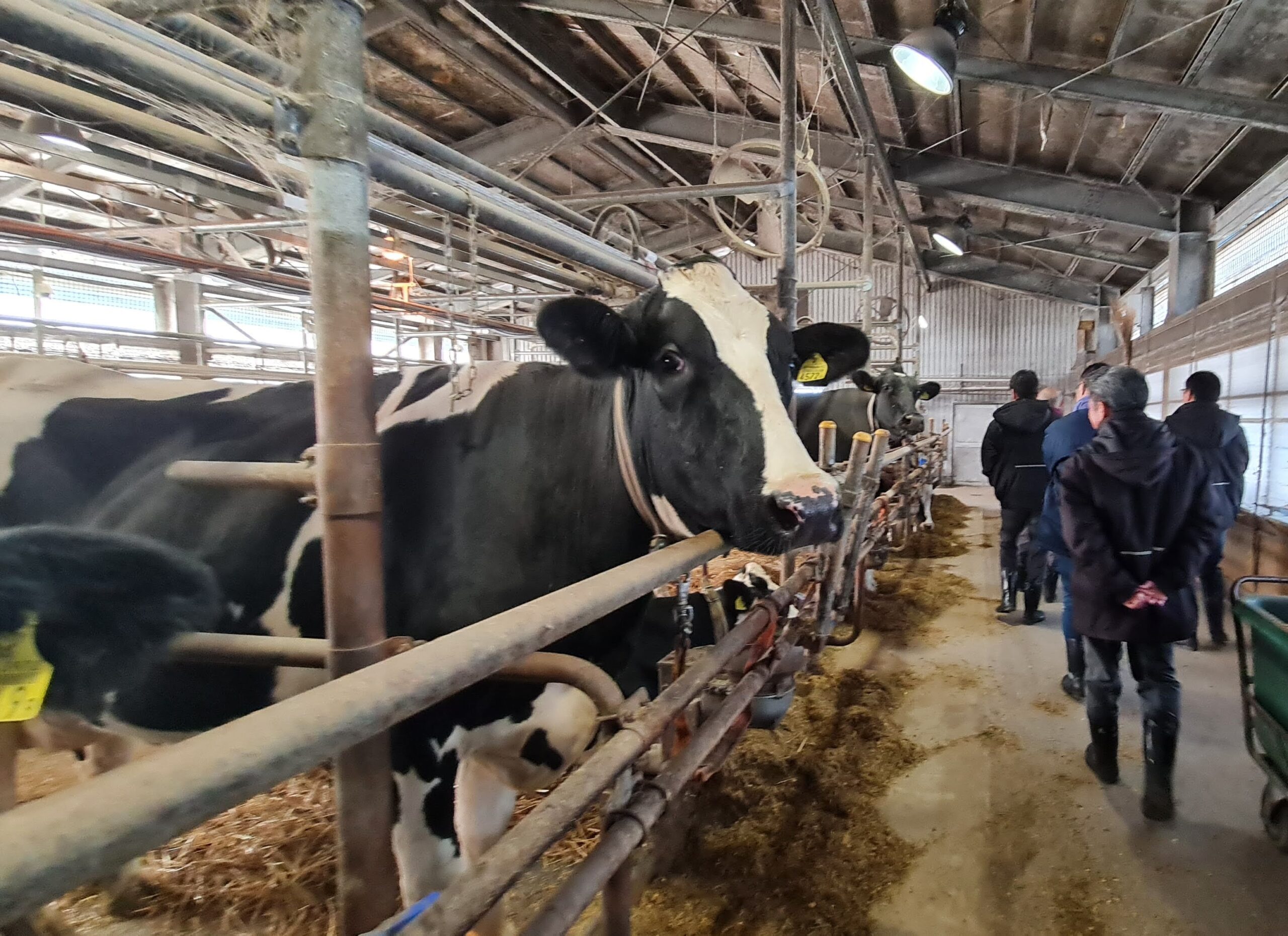 Enereum's Sustainable Vision Touches Down in Kitami, Hokkaido