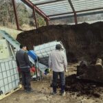 Biochar from Manure: Enereum Collaborates with a Korean Success Story in Waste-to-Carbon Innovation