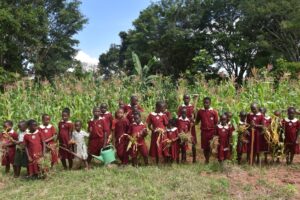 Organic Sustainable Farming
