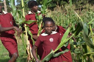 Farm produces vegetables, fruits, food and herbs.