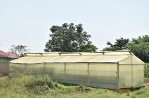 A dryer used to dry the briquettes.